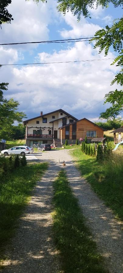 Casa Dunca Villa Sighetu Marmatiei Exterior photo